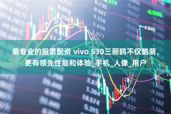 最专业的股票配资 vivo S30三丽鸥不仅酷萌，更有领先性能和体验_手机_人像_用户