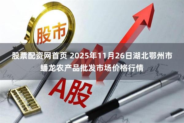 股票配资网首页 2025年11月26日湖北鄂州市蟠龙农产品批发市场价格行情