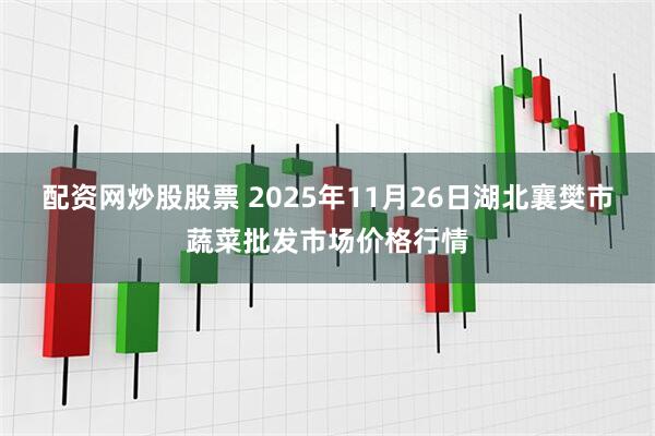 配资网炒股股票 2025年11月26日湖北襄樊市蔬菜批发市场价格行情