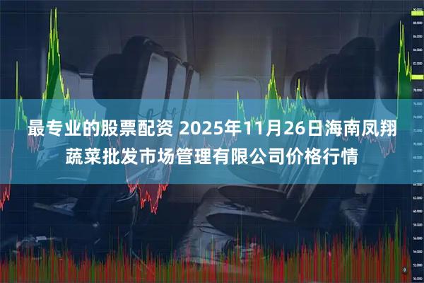 最专业的股票配资 2025年11月26日海南凤翔蔬菜批发市场管理有限公司价格行情